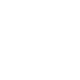 Logo Box Moment